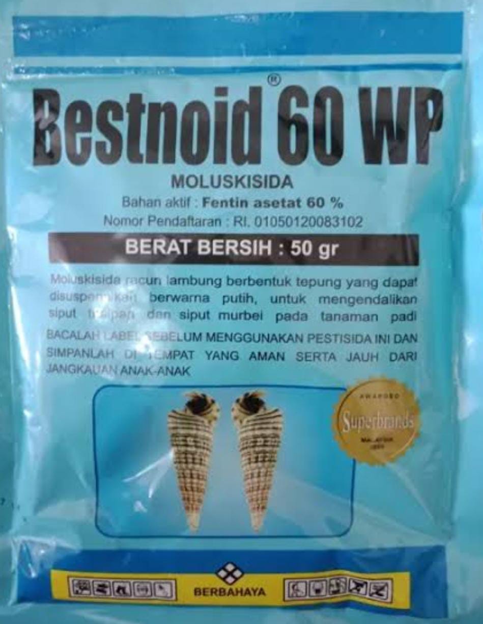 Bestnoid 60 wp