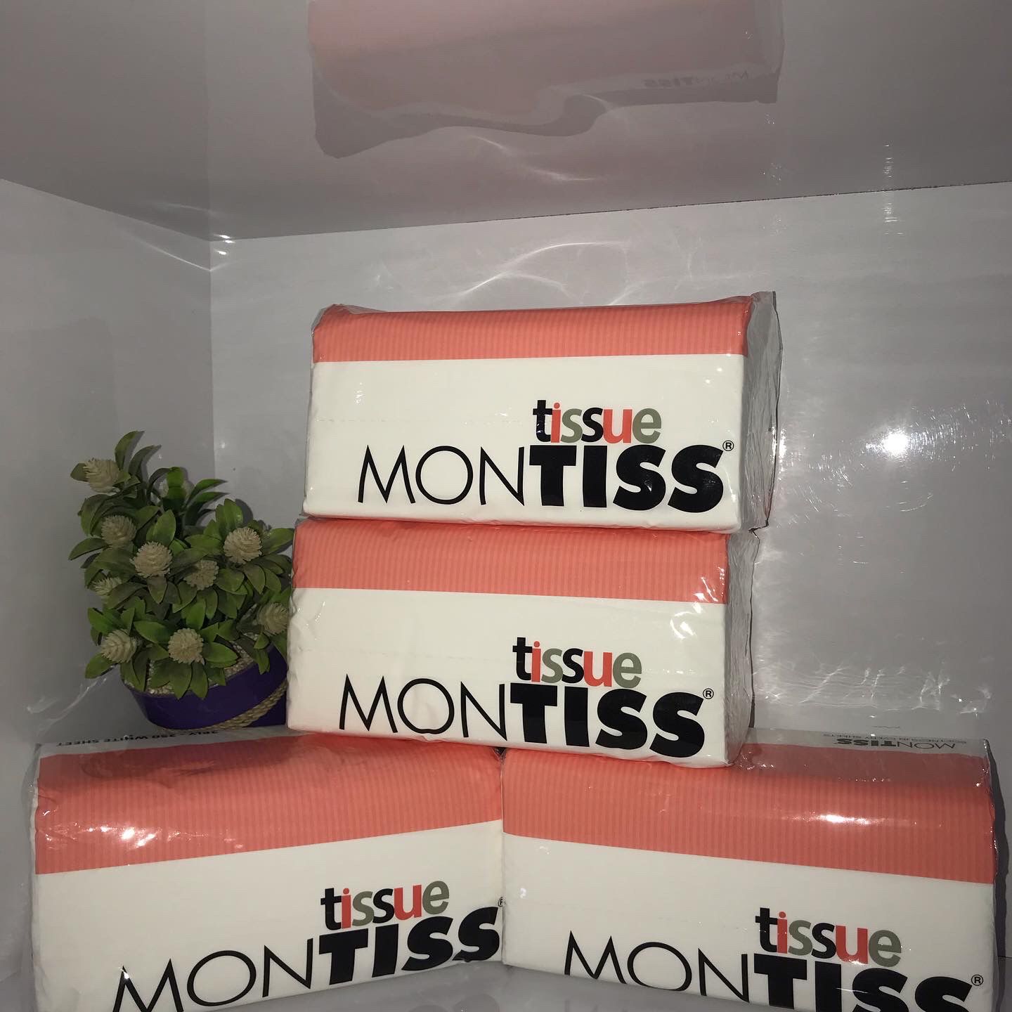 Tisu Facial Montis