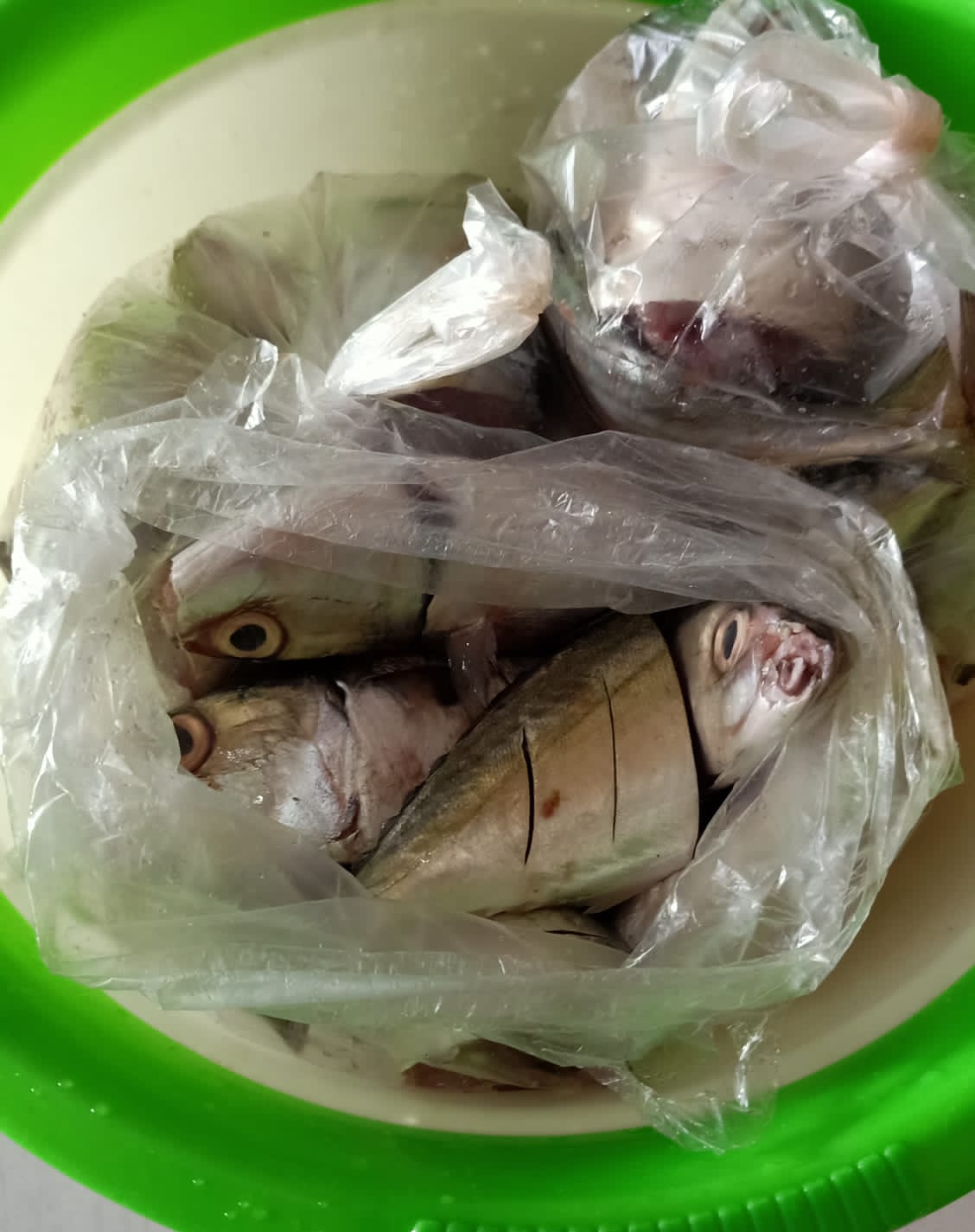 Ikan laut