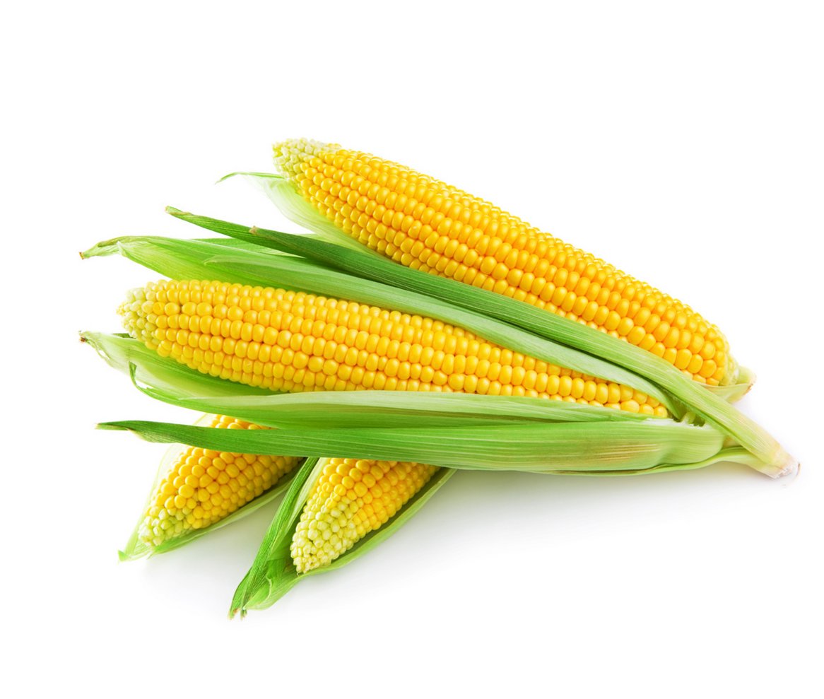 Jagung