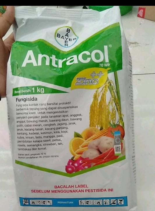 Antracol