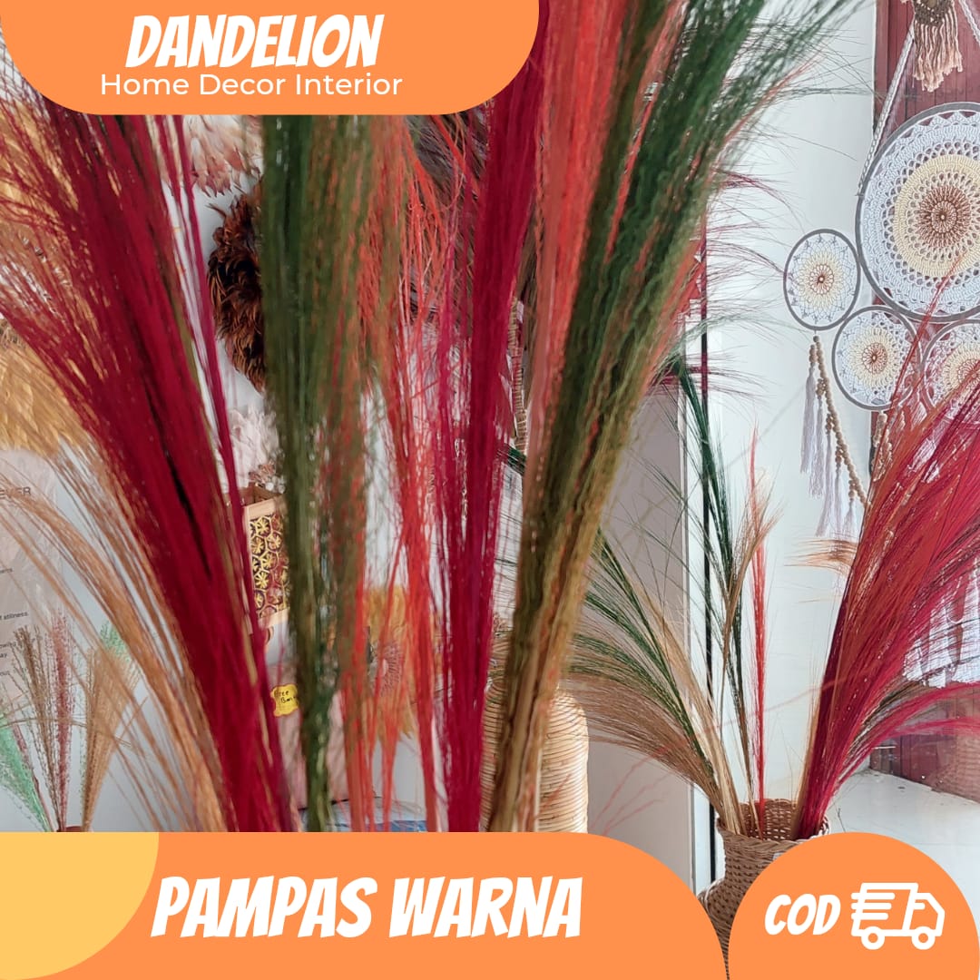 Pampas Warna