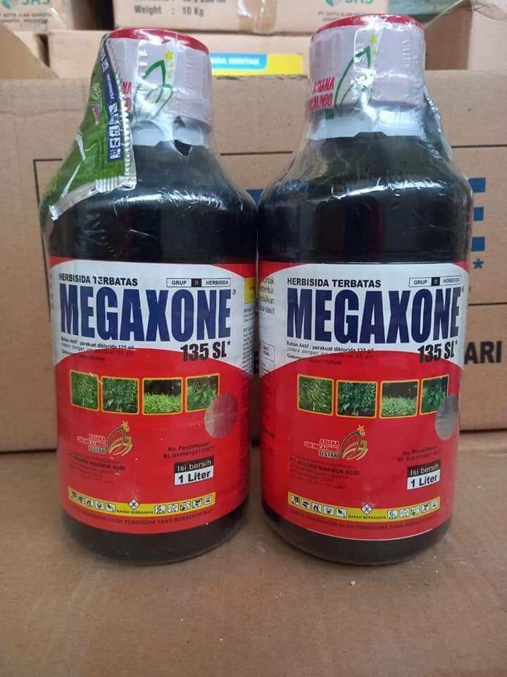 MEGAXONE