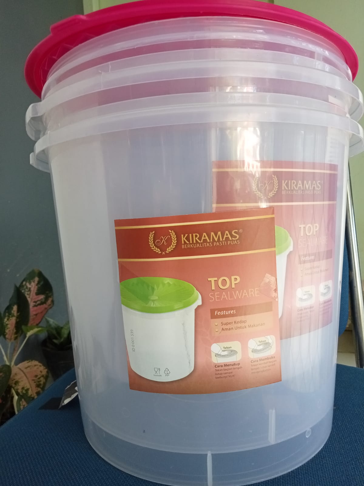 Toples Kecil