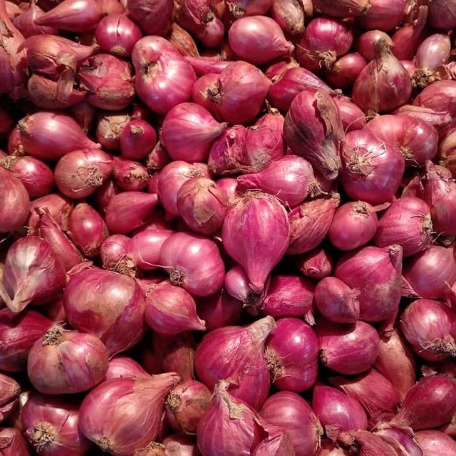 BAWANG MERAH