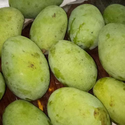 MANGGA KUINI