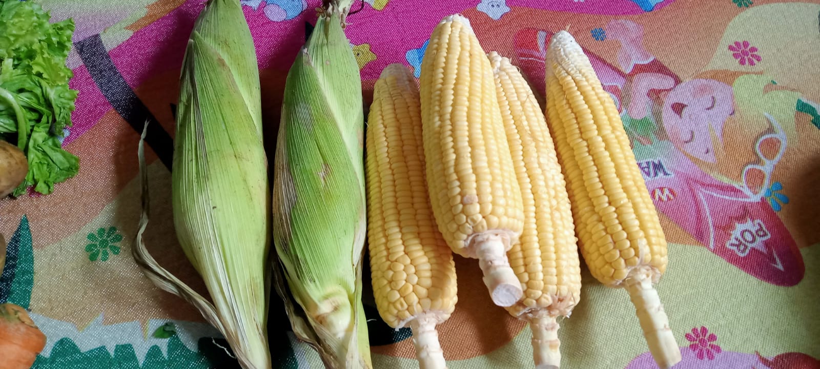 Jagung Manis