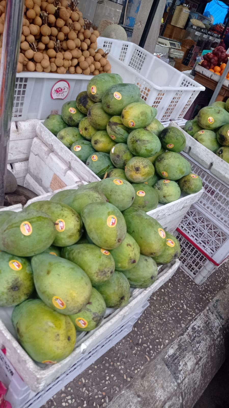 buah mangga