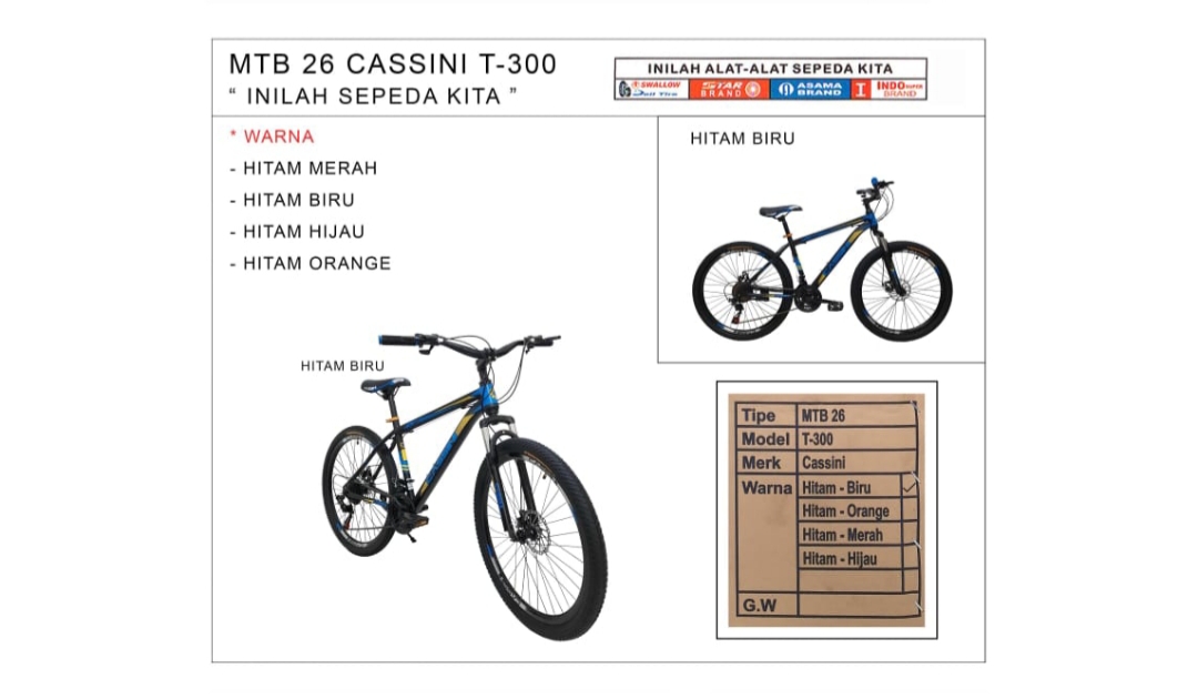 MTB 26 CASSINI