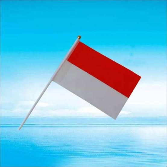 Bendera kecil (hand flag)