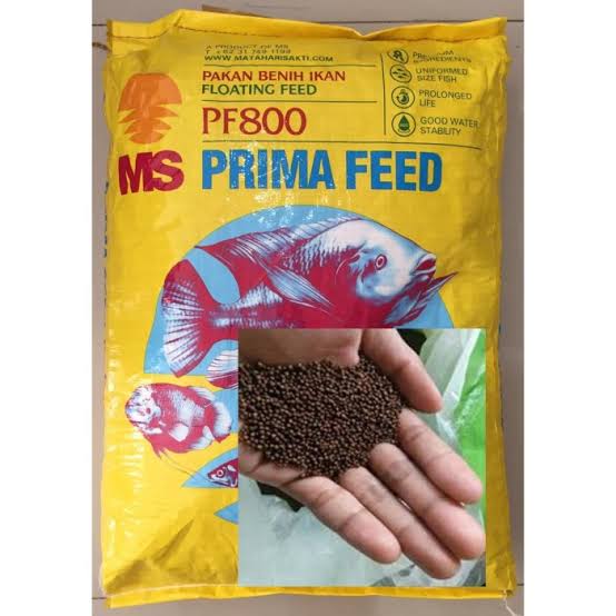 Pakan ikan PL 0 PF 800