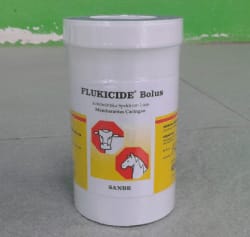 obat cacing flukicide bollus