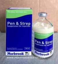 antibiotika pen & strep