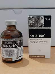 obat bius ketamine