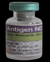 antigen  ND