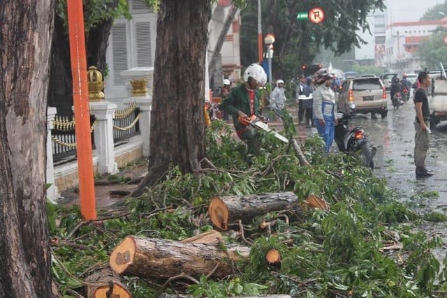 Pangkas Pohon Ektra Besar