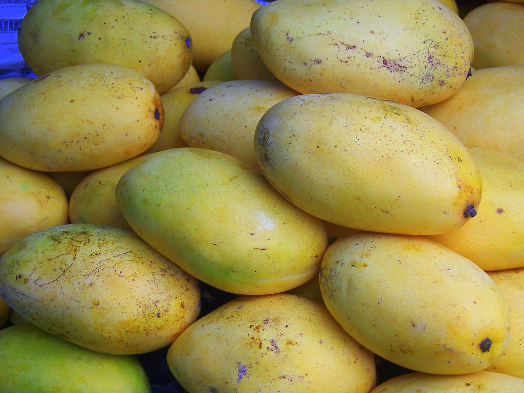 MANGGA