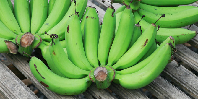 PISANG KEPOK MENTAH