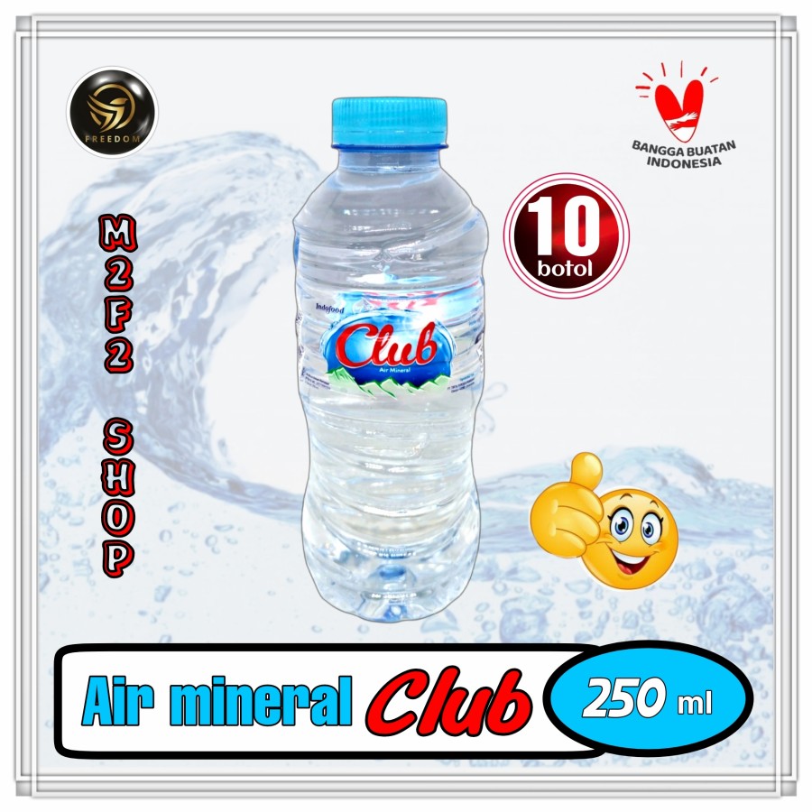 AIR MINERAL CLUB MINI 250 ML