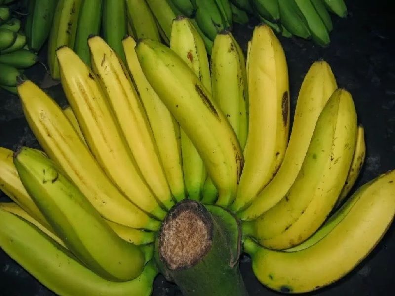 pisang ambon