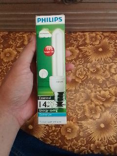 Lampu philips 14 watt essential