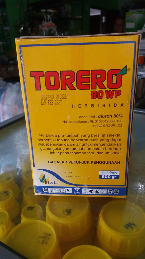 Torero