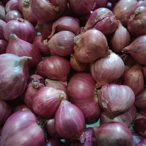 BAWANG MERAH