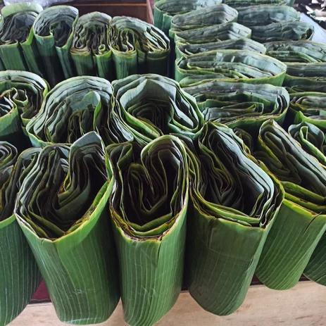 DAUN PISANG