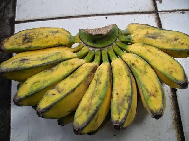 PISANG KEPOK