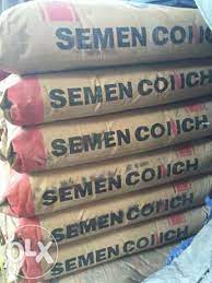 Semen Conch