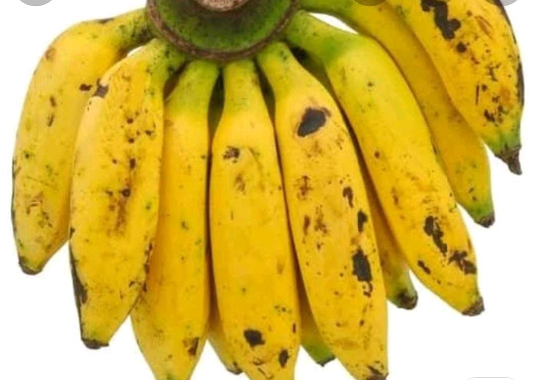 Pisang