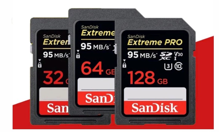 SD Card 