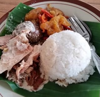 paket gudeg ayam