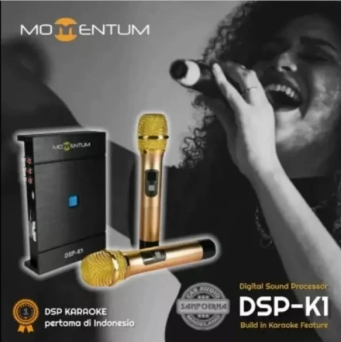 Prosessor + Kabel PNP Momentum Microphone (Terpasang)