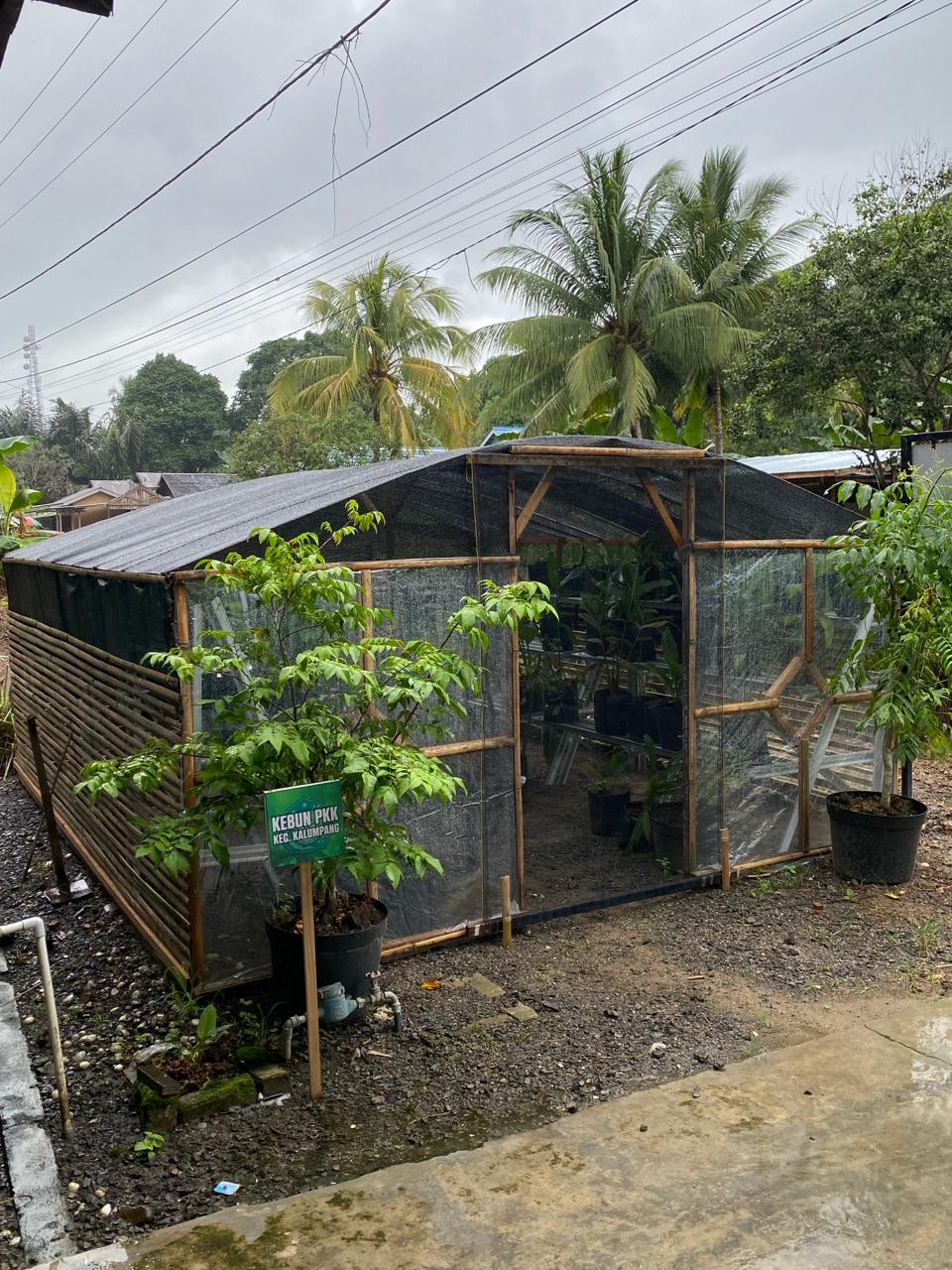 Pembuatan Kandang Tanaman Anti Hama Kera