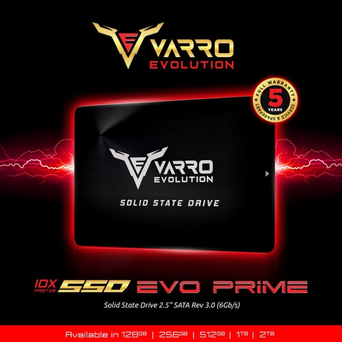 SSD VARRO 512 GB