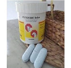 obat cacing setara flukicide bollus