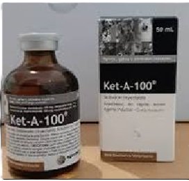 anestesi setara ketamine 30ml