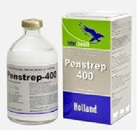 antibiotika setara penstrep 100 ml inj