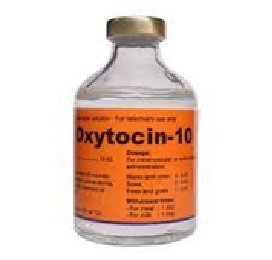 hormon oxytocin injeksi 50 ml