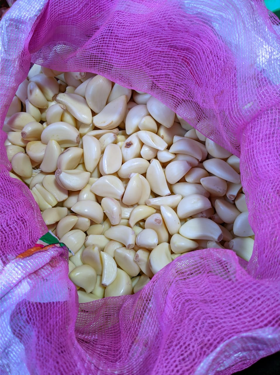 Bawang Putih