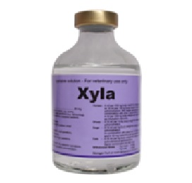 anastesi setara xylazine 30 ml