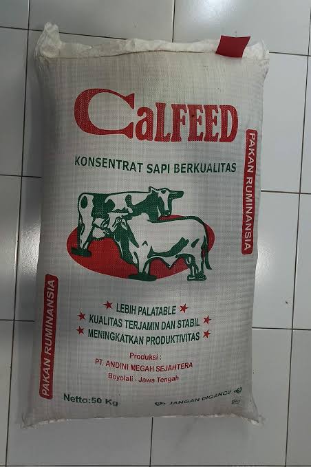 Konsentrat sapi 