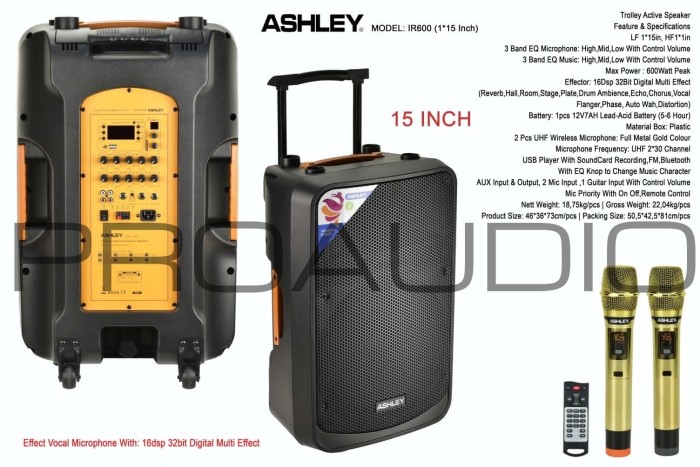 Trolley Active Speaker Ashley Wireless 15 Inch IR600 IR