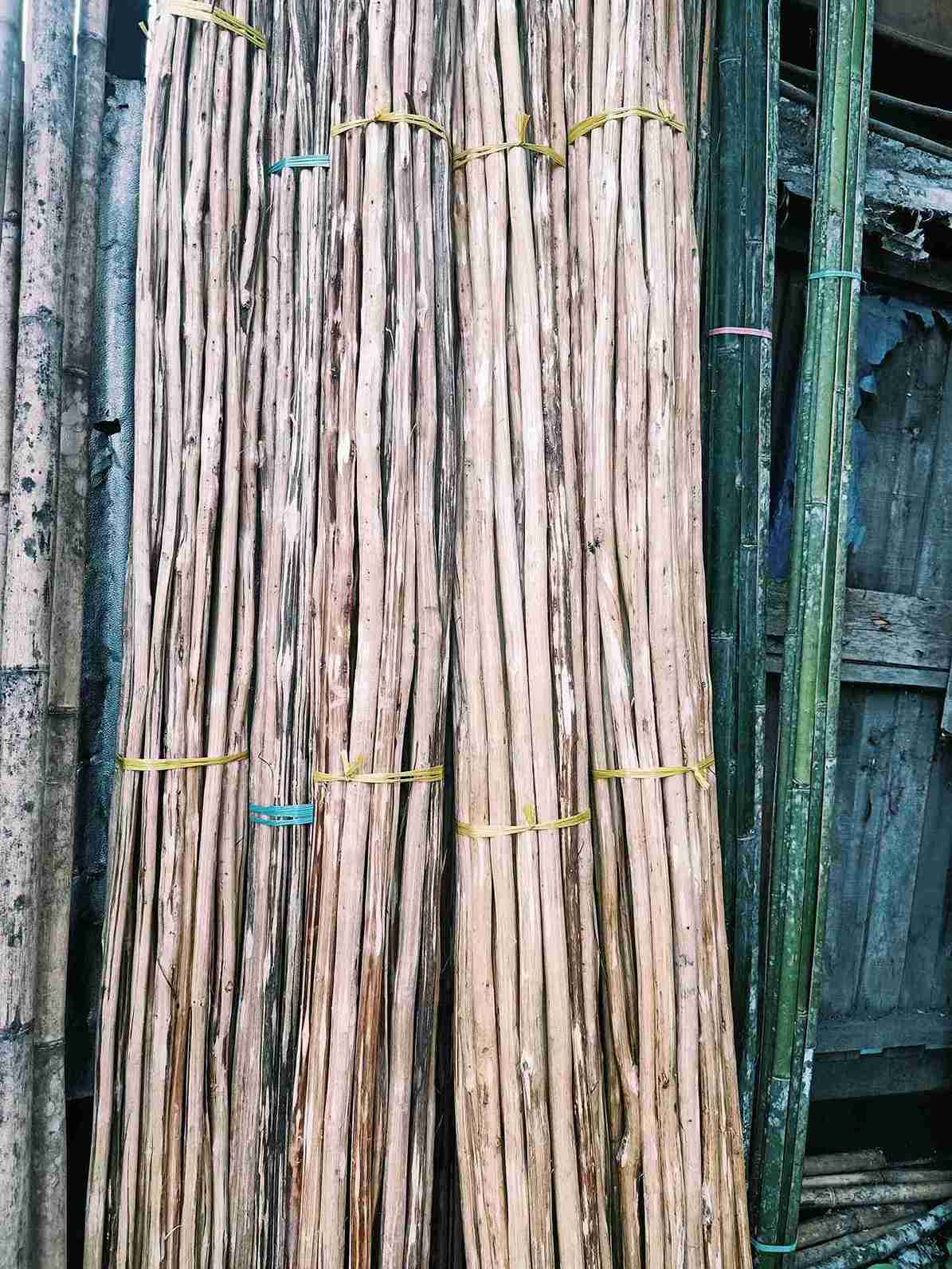 Kayu anakan lurus