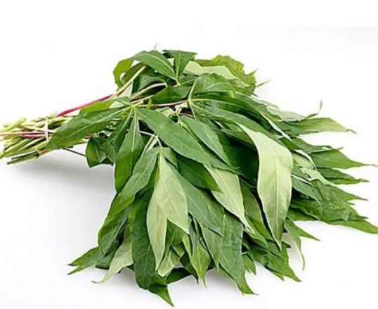 Daun Singkung