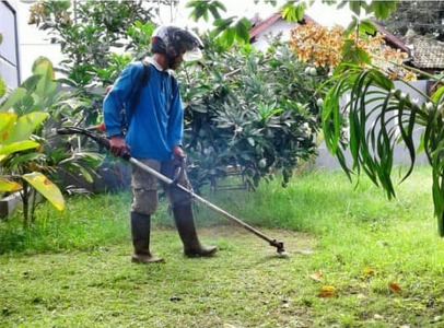 Potong rumput dan pembersihan ranting pohon