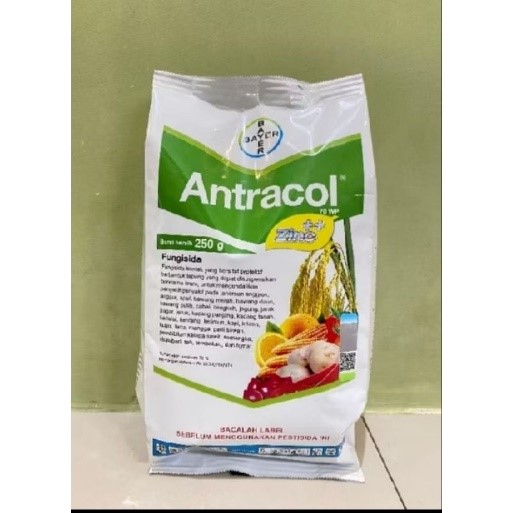 Fungisida Antracol 70wp