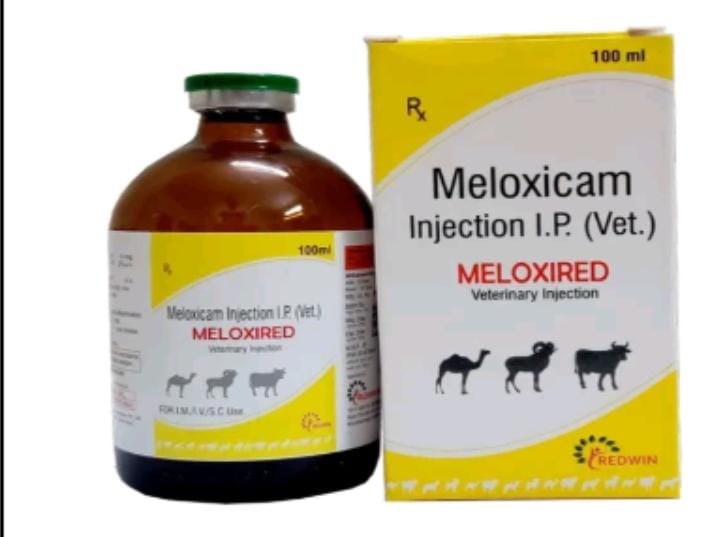 meloxicam