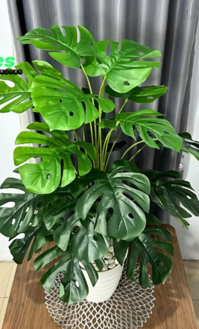 TANAMAN MONSTERA ARTIFICIAL INFORMA